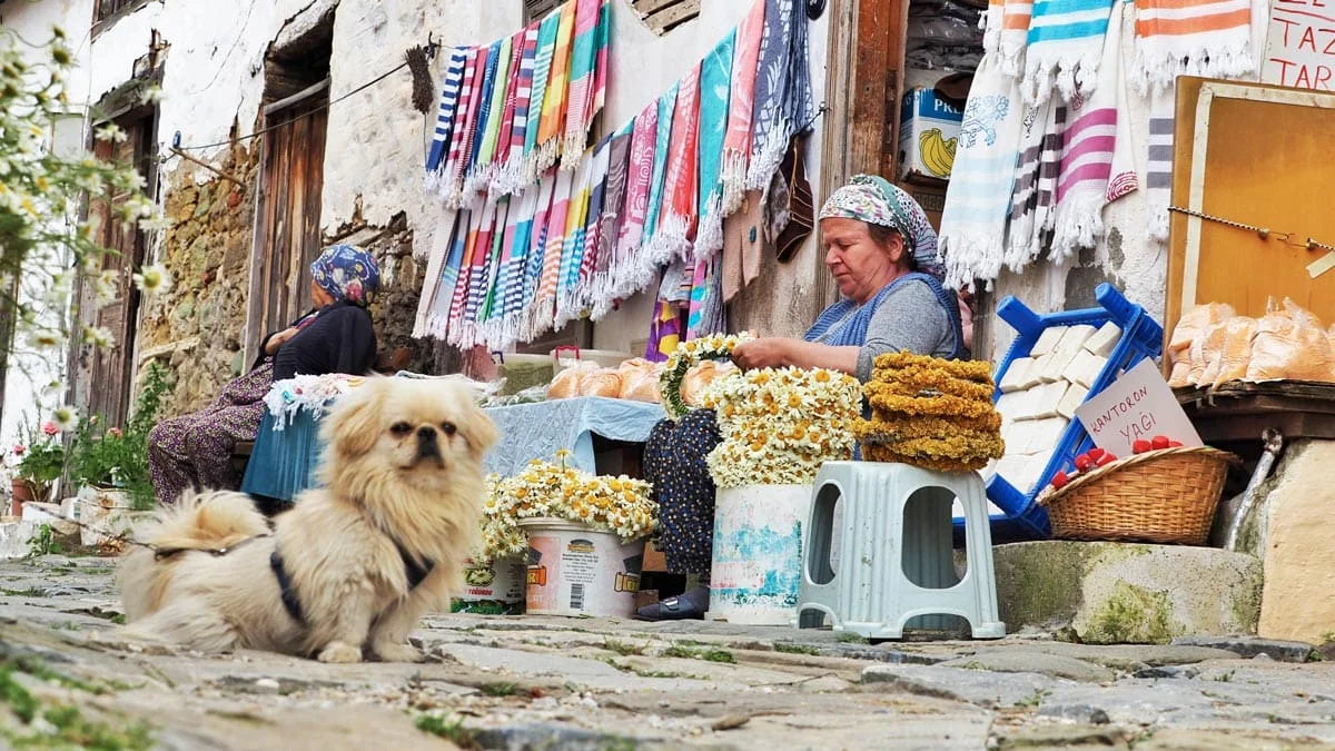 Scalabrinians Special Event